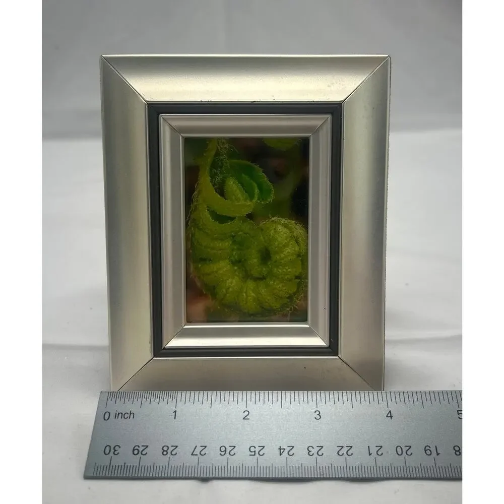 Original Fiddlehead Fern Macro Photo 4x6 Silver Tone Frame Botanical Art